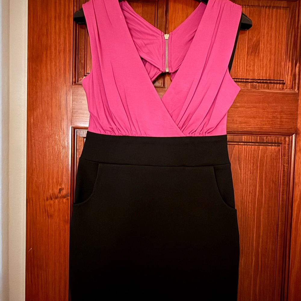 LaRok Fuchsia and Black Backless Dress